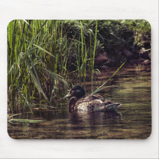 At Pond's Edge Mouse Pad