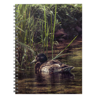 At Pond's Edge Notebook