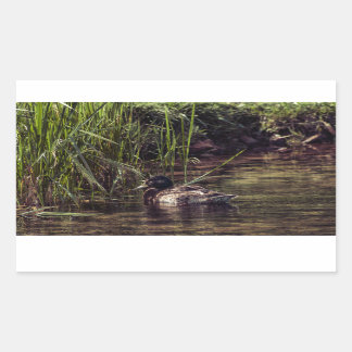 At Pond's Edge Rectangular Sticker