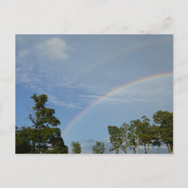 At Rainbow's End Postcard (Front)