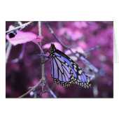 At Rest (Front Horizontal)