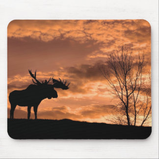 at Sunset Mouse Pad