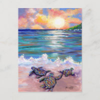 At the Beach with Baby Sea Turtles