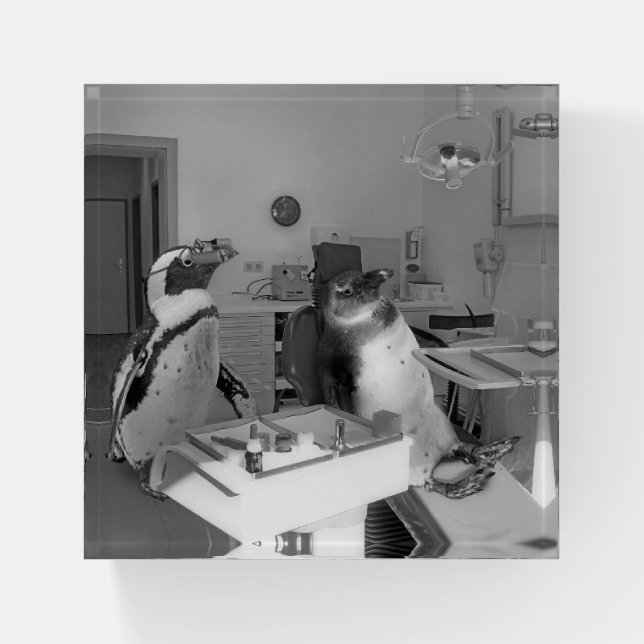 at the dentist paperweight (Front)