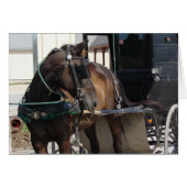 At the Hitching Post (Front Horizontal)