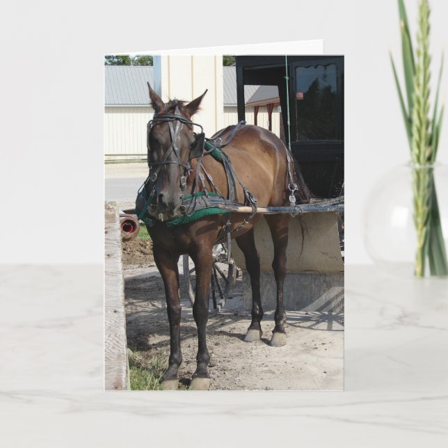 At the Hitching Post Card (Front)