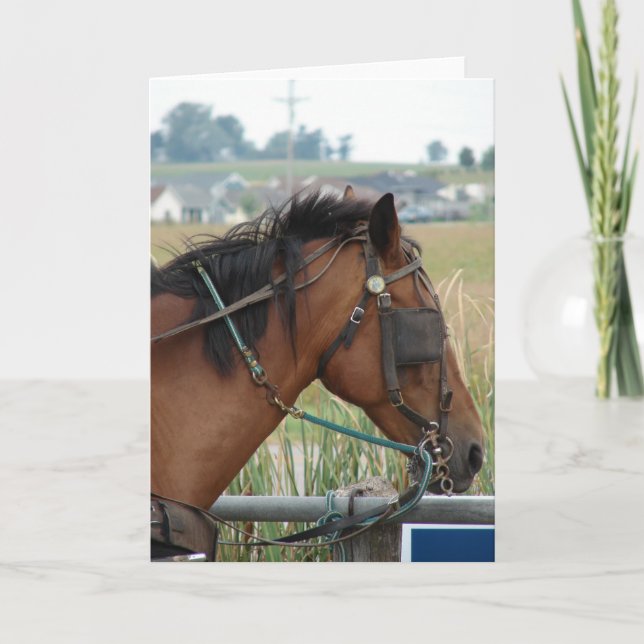 At the Hitching Post Card (Front)