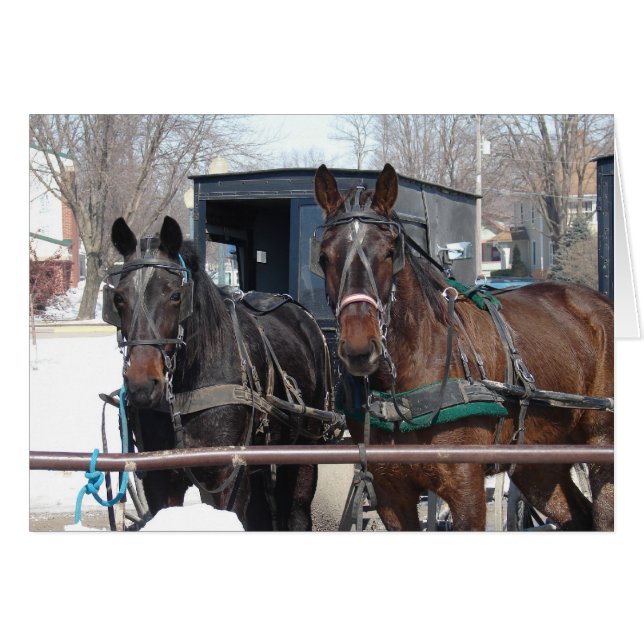At the Hitching Post Cards (Front Horizontal)