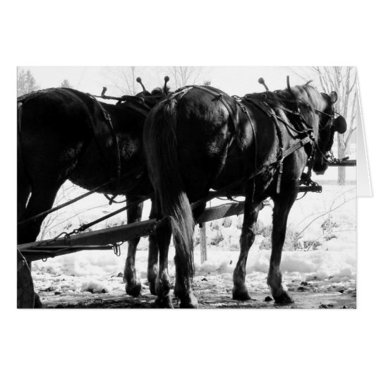At the Hitching Post Cards (Front Horizontal)