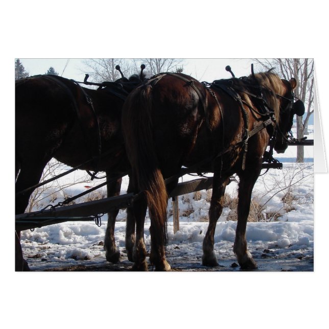 At the Hitching Post Cards (Front Horizontal)