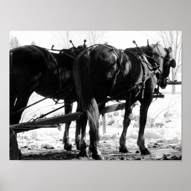 At the Hitching Post Poster (Front)