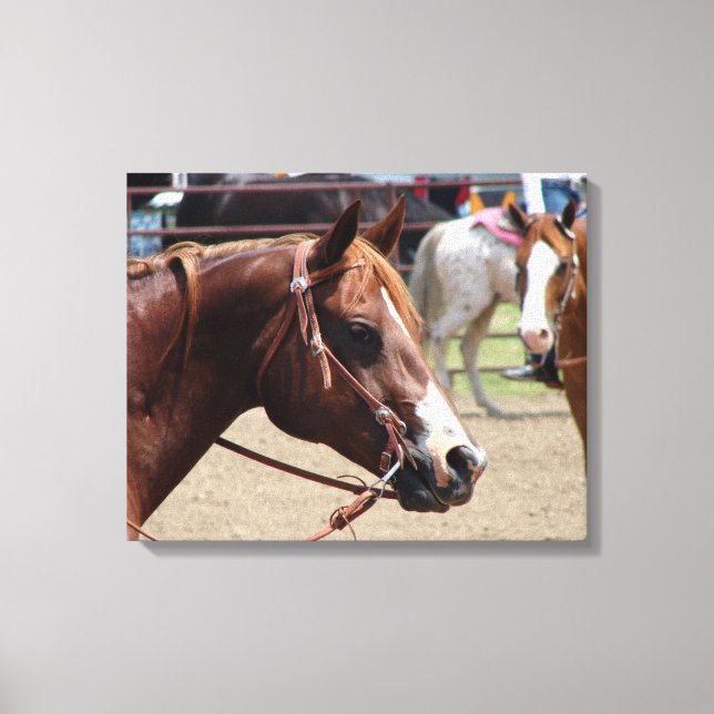 At The Horse Show Canvas Print (Front)