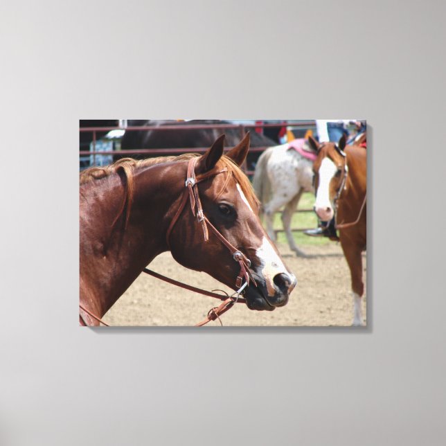 At The Horse Show Canvas Print (Front)