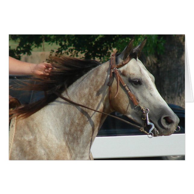 At the Horse Show Cards (Front Horizontal)