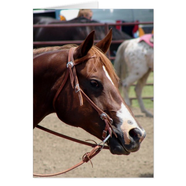 At the Horse Show Cards (Front)