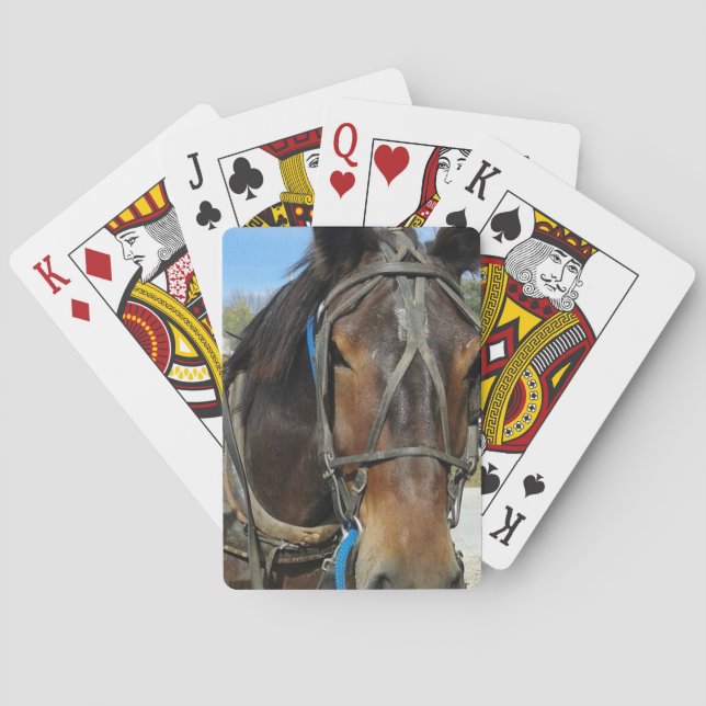 At the Library, Amish Horse and Buggy Poker Cards (Back)