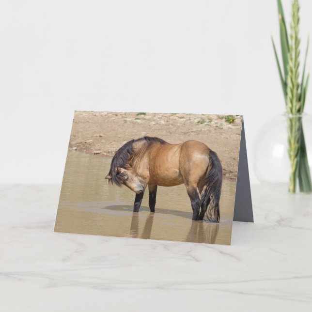At the Waterhole Wild Horse Greeting Card (Front)