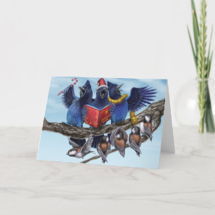 At West Coast Christmas: Jays Holiday Card