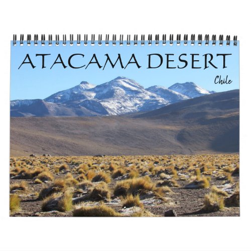 atacama desert 2025 calendar