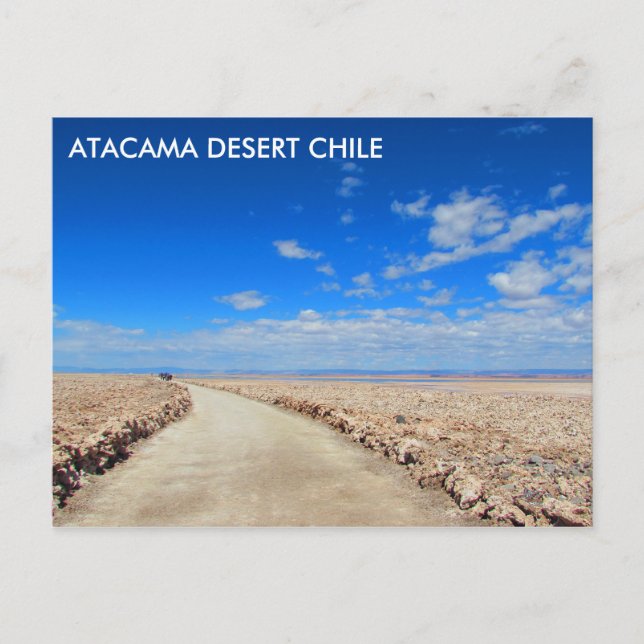 Atacama Desert, Chile Postcard (Front)