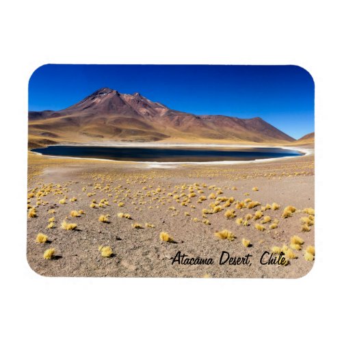 Atacama Desert Magnet