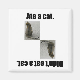 Ate A Cat. Magnet
