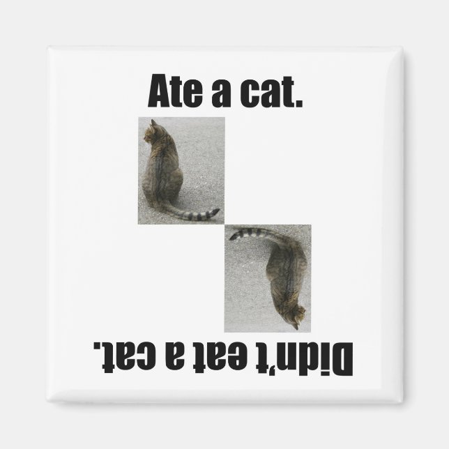 Ate A Cat. Magnet (Front)