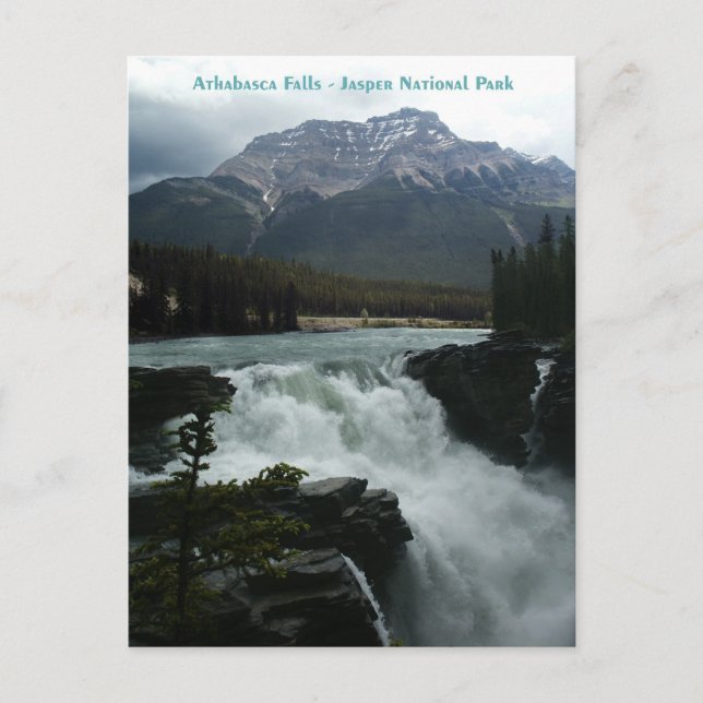 Athabasca Falls Jasper National Park Postcard (Front)
