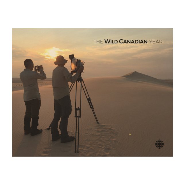 Athabasca Sand Dunes Wood Wall Decor (Front)