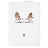Athabasca Tar Sands Duck Mount Cards (Back)
