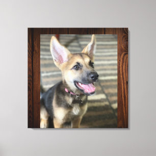 Athena puppy canvas print