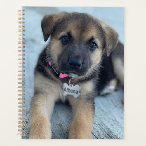 Athena puppy  planner