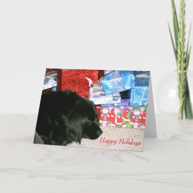 Athena waiting for Christmas Holiday Card (Front)