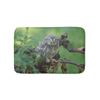 Athene noctua bathroom mat