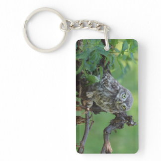 Athene noctua keychain