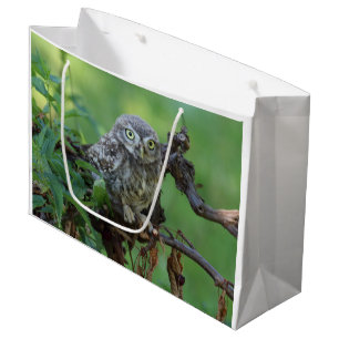 Athene noctua large gift bag