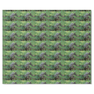 Athene noctua wrapping paper