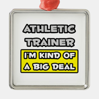 Athletic Trainer .. I'm Kind of a Big Deal Metal Ornament