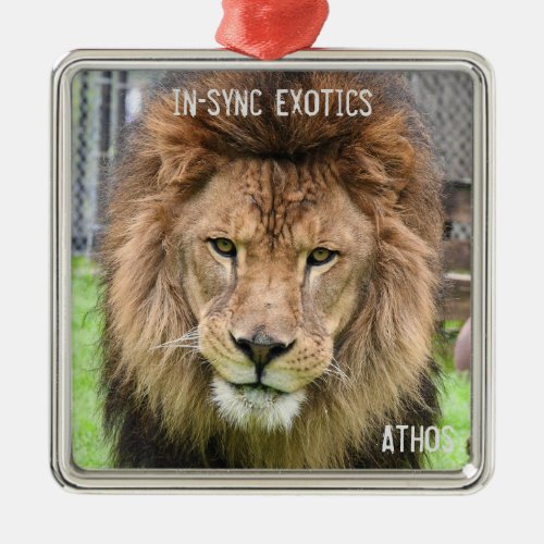 Athos _ metal ornament