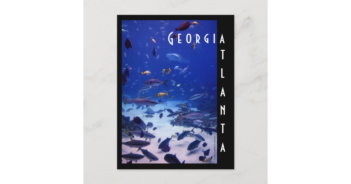 Atlanta Aquarium, Georgia Postcard | Zazzle