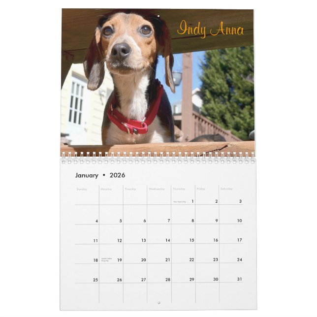 Atlanta Beagle Rescue 2015 Calendar (Jan 2026)