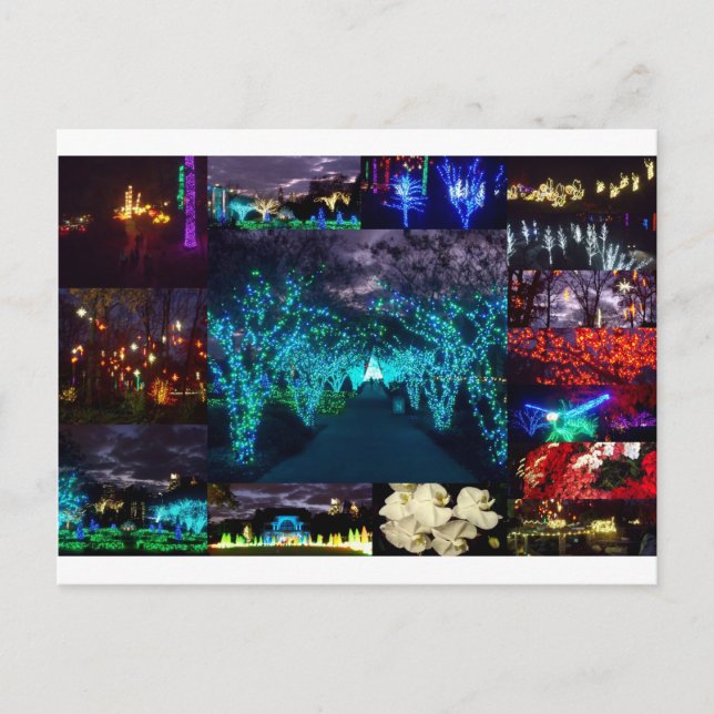 Atlanta Botanical Garden Lights Postcard (Front)