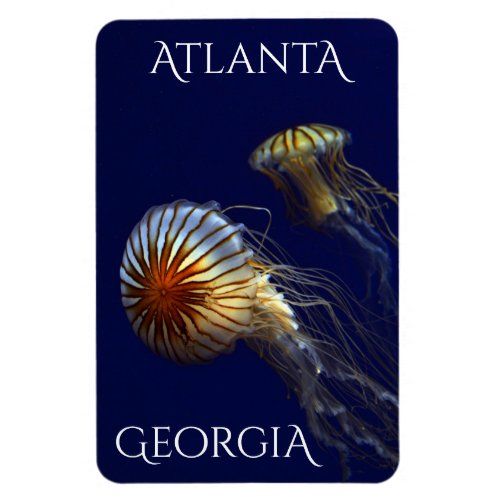 Atlanta Georgia Curious Jellyfish Magnet