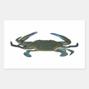 Atlantic Blue Crab Logo Rectangular Sticker