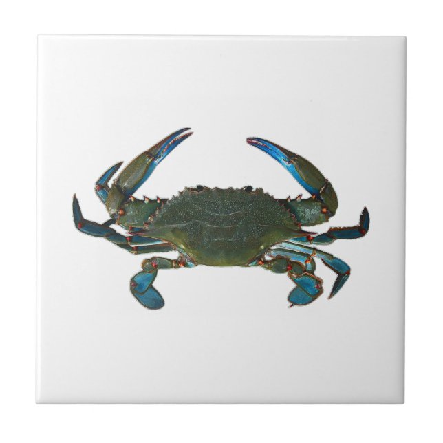 Atlantic Blue Crab Logo Tile (Front)
