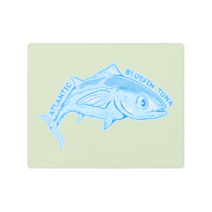 Atlantic bluefin tuna metal print