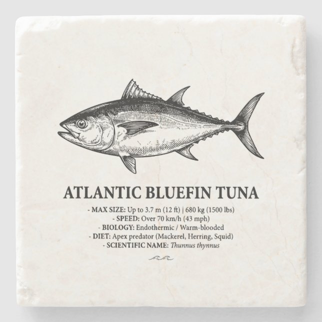 Atlantic Bluefin Tuna Scientific Illustration  Stone Coaster (Front)