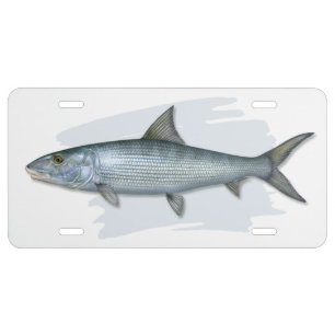 Atlantic Bonefish License Plate