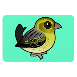 Cute Atlantic Canary 4