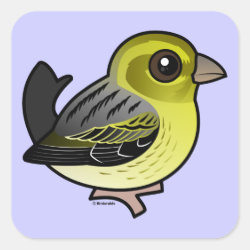 Cute Atlantic Canary Square Sticker